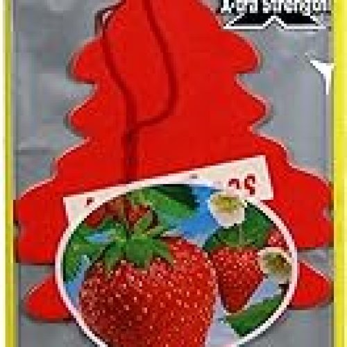 Little Trees Strawberry Scent  1PKG